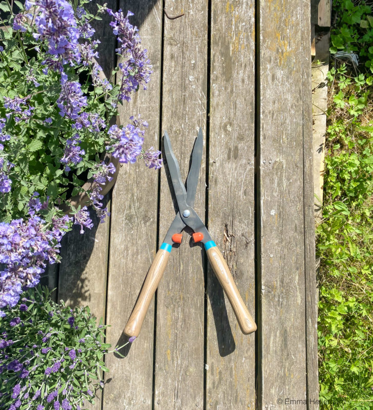 Vass häcksax